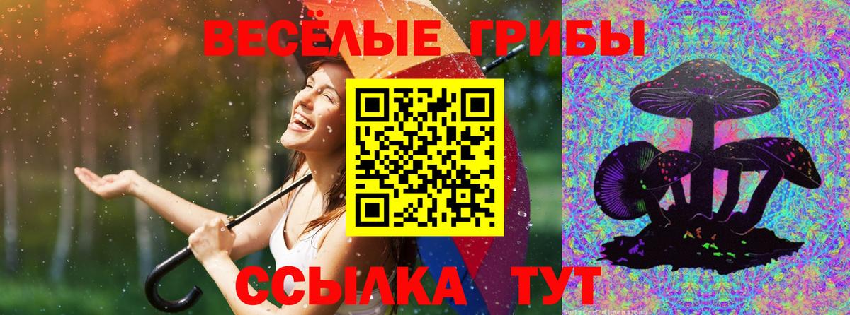 Псилоцибиновые грибы ЛСД  Вход с VPN  Губкин  Галлюциногенные грибы Psilocybine cubensis 